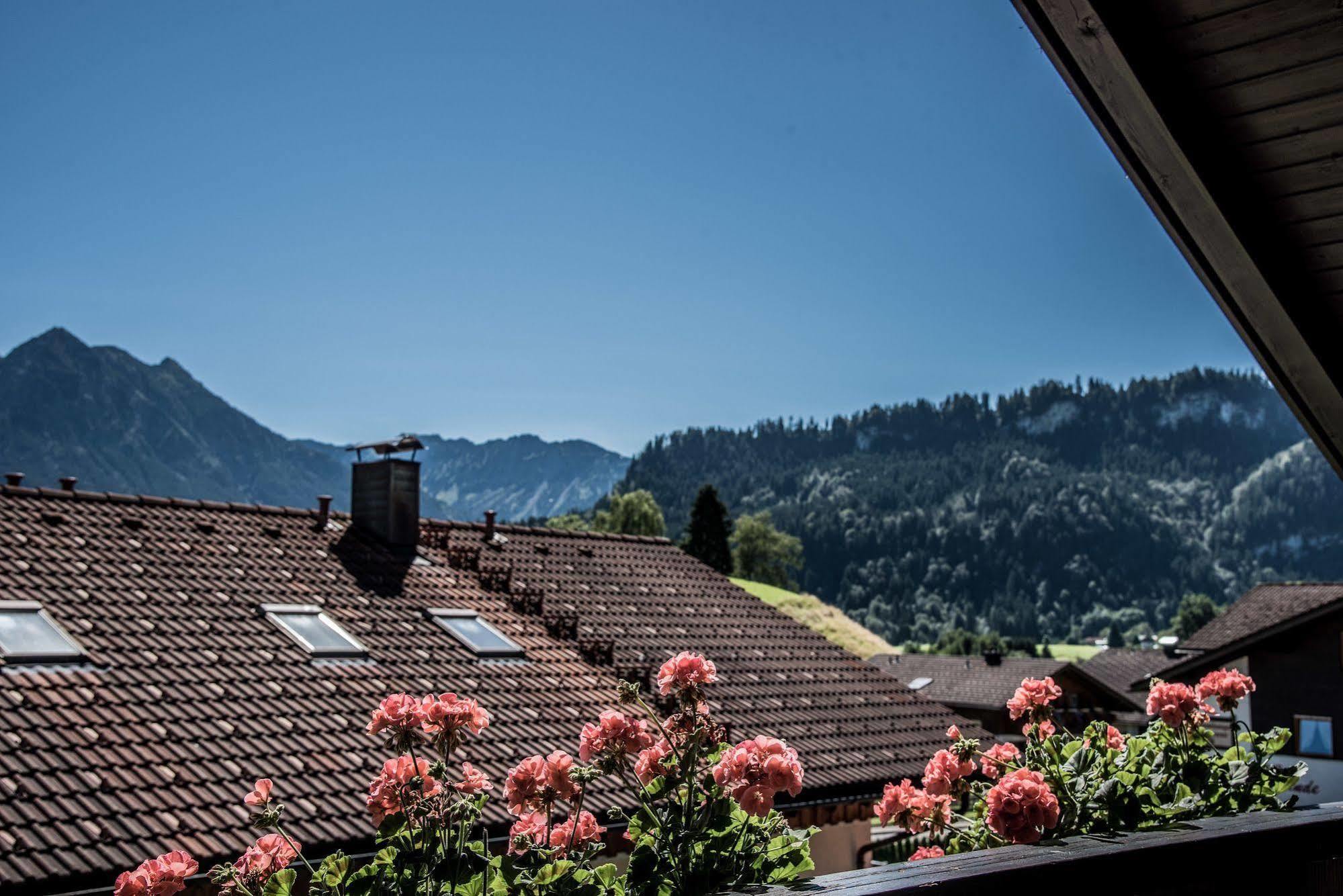 Апартаменты Haus Susanne - Top-ferienwohnungen - Sommer-bergbahn Inklusive Обермайзельштайн